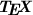 \textit{\textbf{\TeX}}