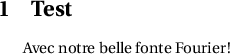 
\documentclass[french]{article}
  \usepackage[utf8]{inputenc}
  \usepackage[T1]{fontenc}
  \usepackage{fourier}
  \usepackage{babel}
  \pagestyle{empty} 
\begin{document}
\section{Test}
Avec notre belle fonte Fourier !
\end{document}
