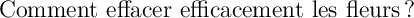 
\documentclass{article}
  \usepackage{lmodern}
  \usepackage[french]{babel}
  \pagestyle{empty}

\begin{document}
\Large Comment effacer efficacement les fleurs?
\end{document}
