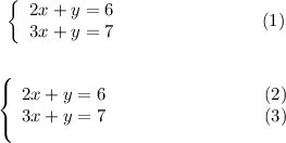 
\documentclass{article}
\usepackage[body={8cm,8cm}]{geometry}
\usepackage{envmath}
\usepackage{lmodern}
\pagestyle{empty}
\begin{document}
% numérotation du système
\begin{System}
  2x + y = 6 \\
  3x + y = 7
\end{System}

%numérotation de chaque équation du système
\begin{EqSystem}
  2x + y = 6 \\
  3x + y = 7
\end{EqSystem}
\end{document}
