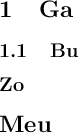 
\documentclass{article}
\usepackage[frenchb]{babel}
\pagestyle{empty}
\begin{document}
\section{Ga}
\subsection{Bu}
\subsection*{Zo}
\section*{Meu}
\end{document}
